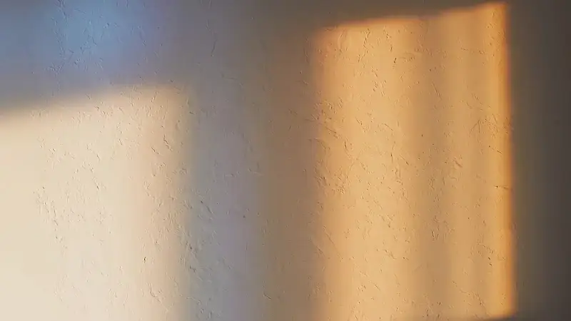 Standbild aus dem Video „Auswahl“